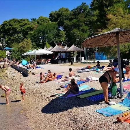 Vesna Zadar